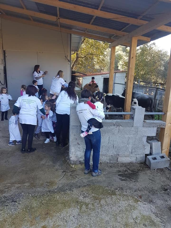 Aquara Tenuta Martino מראה חיצוני תמונה